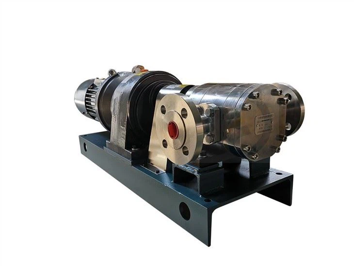 Stainless Steel Gear Pump For Chemical And Food Industry